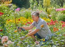 Lade das Bild in den Galerie-Viewer, GARDENA AssistCut Gartenschere 25 mm – 12222-20