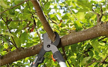 Lade das Bild in den Galerie-Viewer, Gardena Comfort Teleskop-Astschere 650 BT