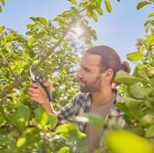 Lade das Bild in den Galerie-Viewer, Gardena Gartenschere Premium Cut Pro Flex
